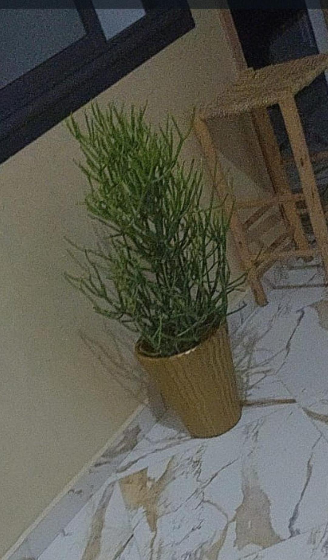 Mogador Appartements T6 Essaouira Bagian luar foto